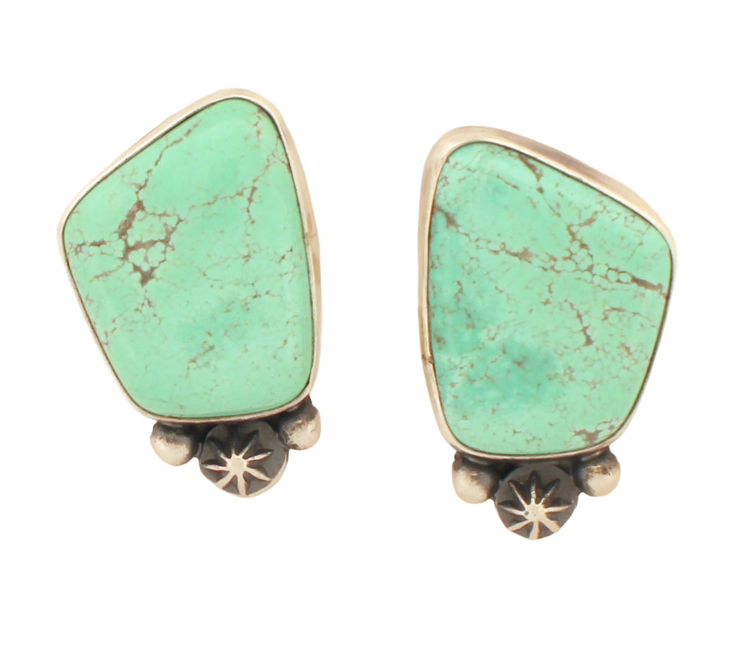 Navajo Native American Carico Lake Turquoise Earrings by Ella Linkin SKU233094