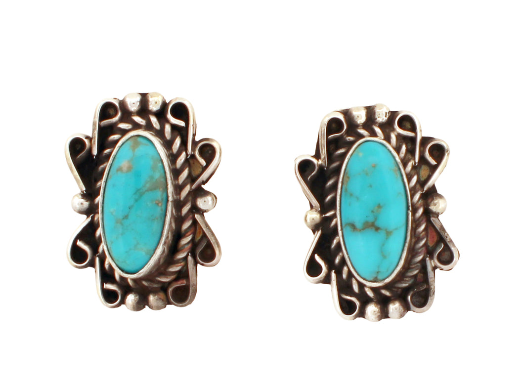 NavajoNative American Campitos Turquoise Earrings by Perry SKU233097