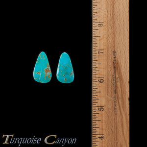 Set of Two Natural Kingman Mine Loose Turquoise Stones 31.5ct SKU227143