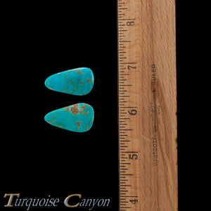 Set of Two Natural Kingman Mine Loose Turquoise Stones 31.5ct SKU227143