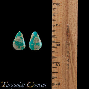 Set of Two Natural Kingman Mine Loose Turquoise Stones 26.0ct SKU227145