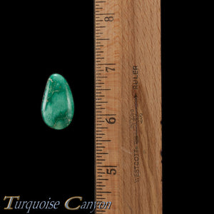 Natural Broken Arrow Mine Turquoise Loose Stone 23.5ct SKU227146