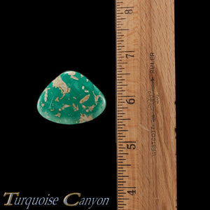 Natural Broken Arrow Mine Turquoise Loose Stone 56.5ct SKU227149