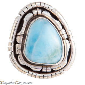 Navajo Native American Larimar Ring Size 7 by Betta Lee SKU227918