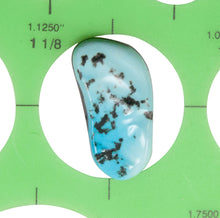 Load image into Gallery viewer, Sleeping Beauty Mine Turquoise Loose Stones 38.0 Carat SKU230117