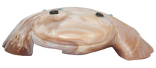 Load image into Gallery viewer, Zuni Native American Shell Frog Fetish by Reyhold Lunasee SKU231081
