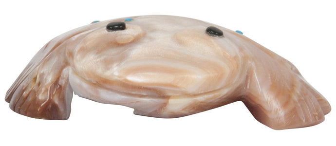Zuni Native American Shell Frog Fetish by Reyhold Lunasee SKU231081
