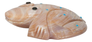 Zuni Native American Shell Frog Fetish by Reyhold Lunasee SKU231081