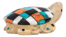 Load image into Gallery viewer, Zuni Native American Fishrock and Turquoise Turtle Fetish by Cheryl Beyuka SKU231765
